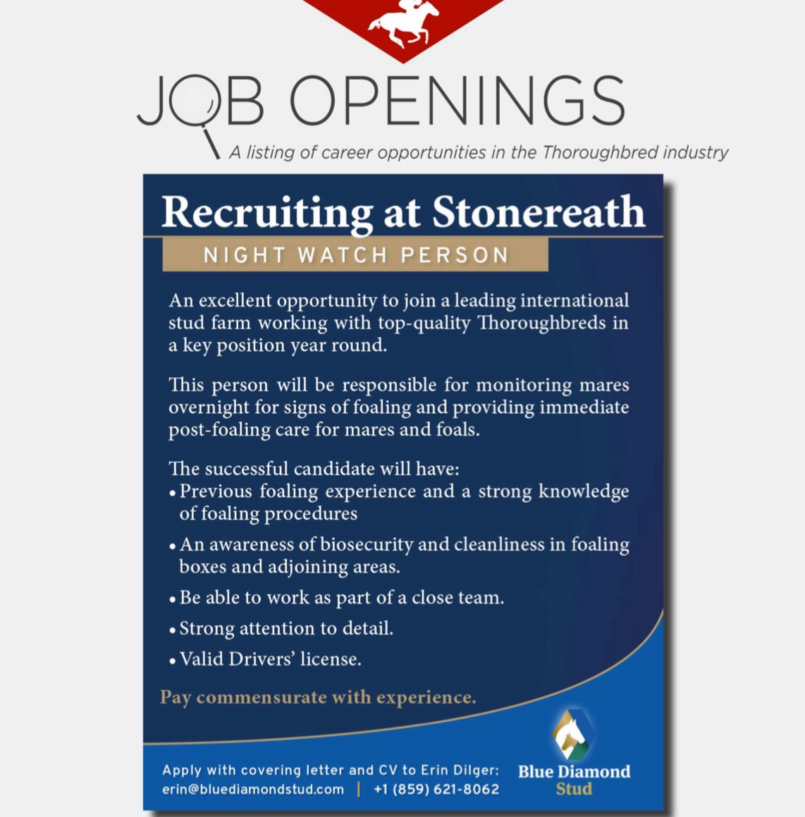 theTDN's tweet photo. 📣 @BlueDiamondStd is recruiting a Night Watch Person at Stonereath.

Learn more: https://t.co/2CVPRNQQQr https://t.co/zsBF8ITZSU