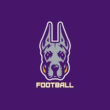 Cornwall Football tweet media