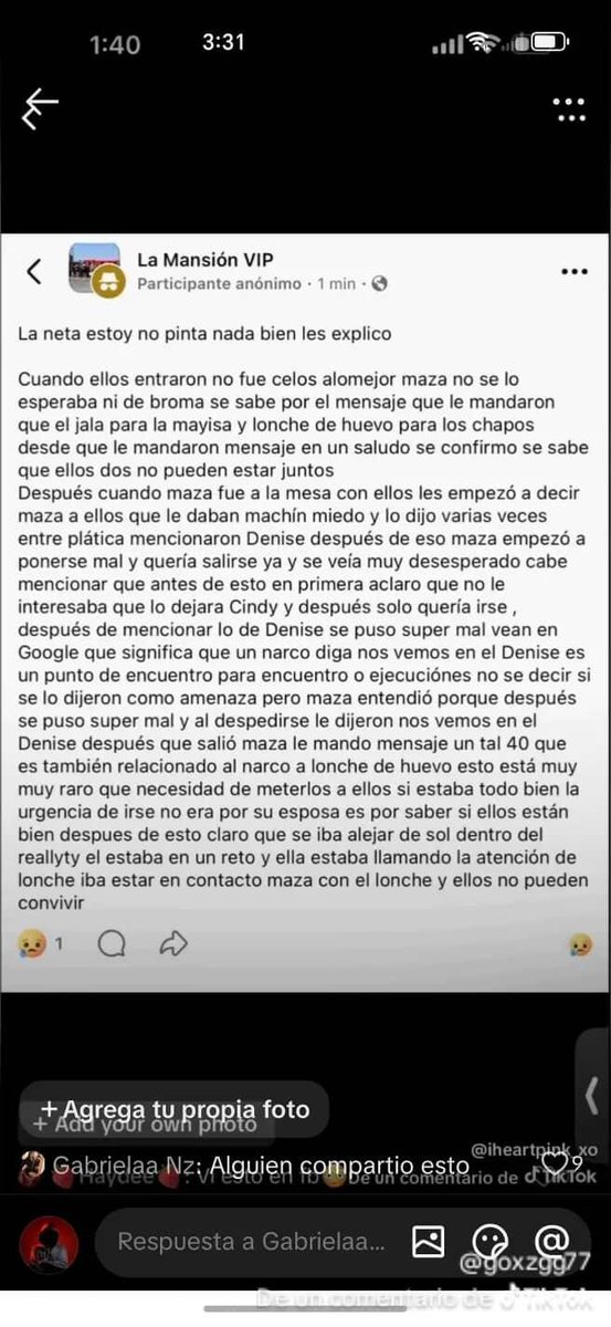 AleFes! tweet media