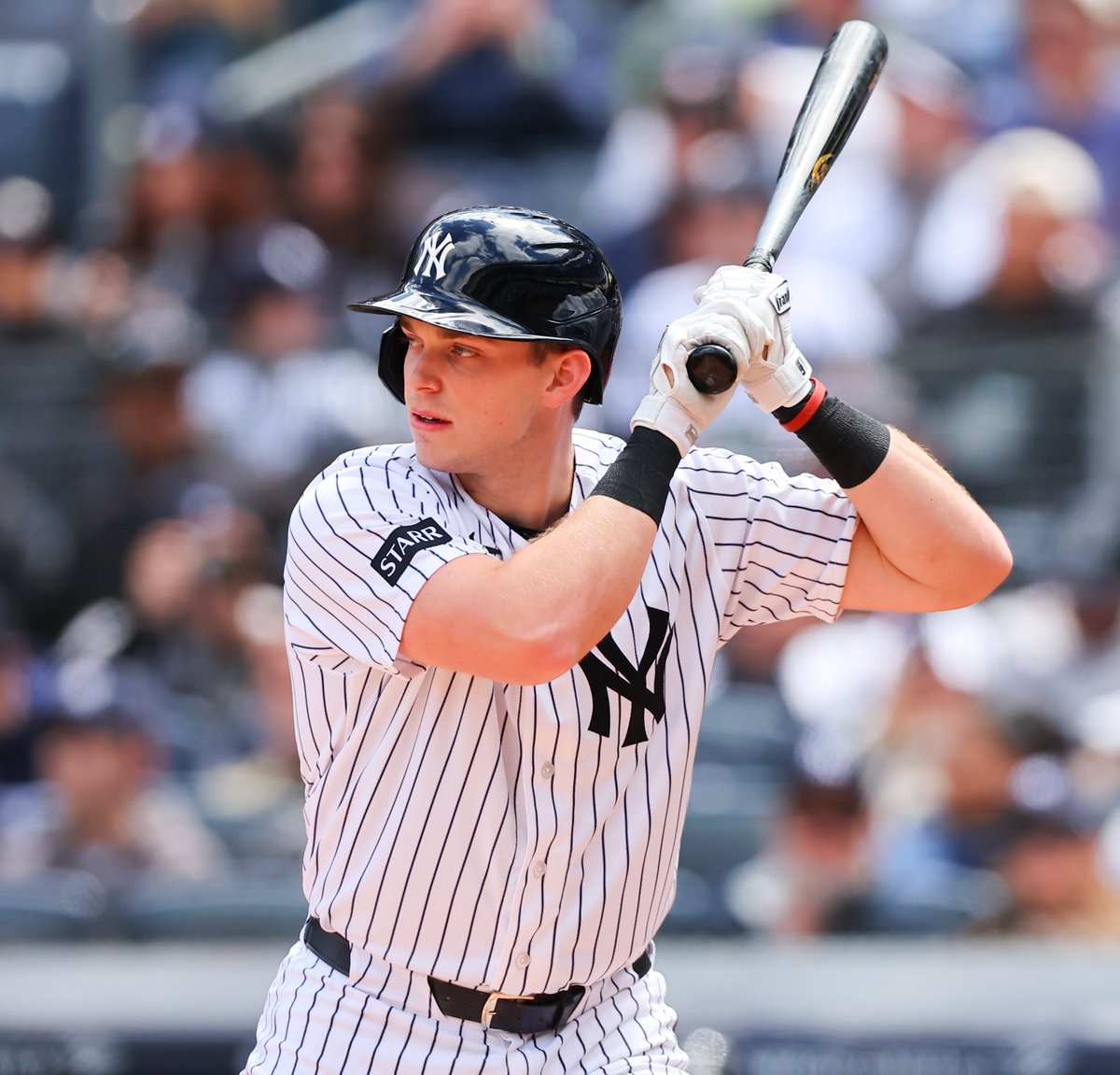 Talkin' Yanks tweet media