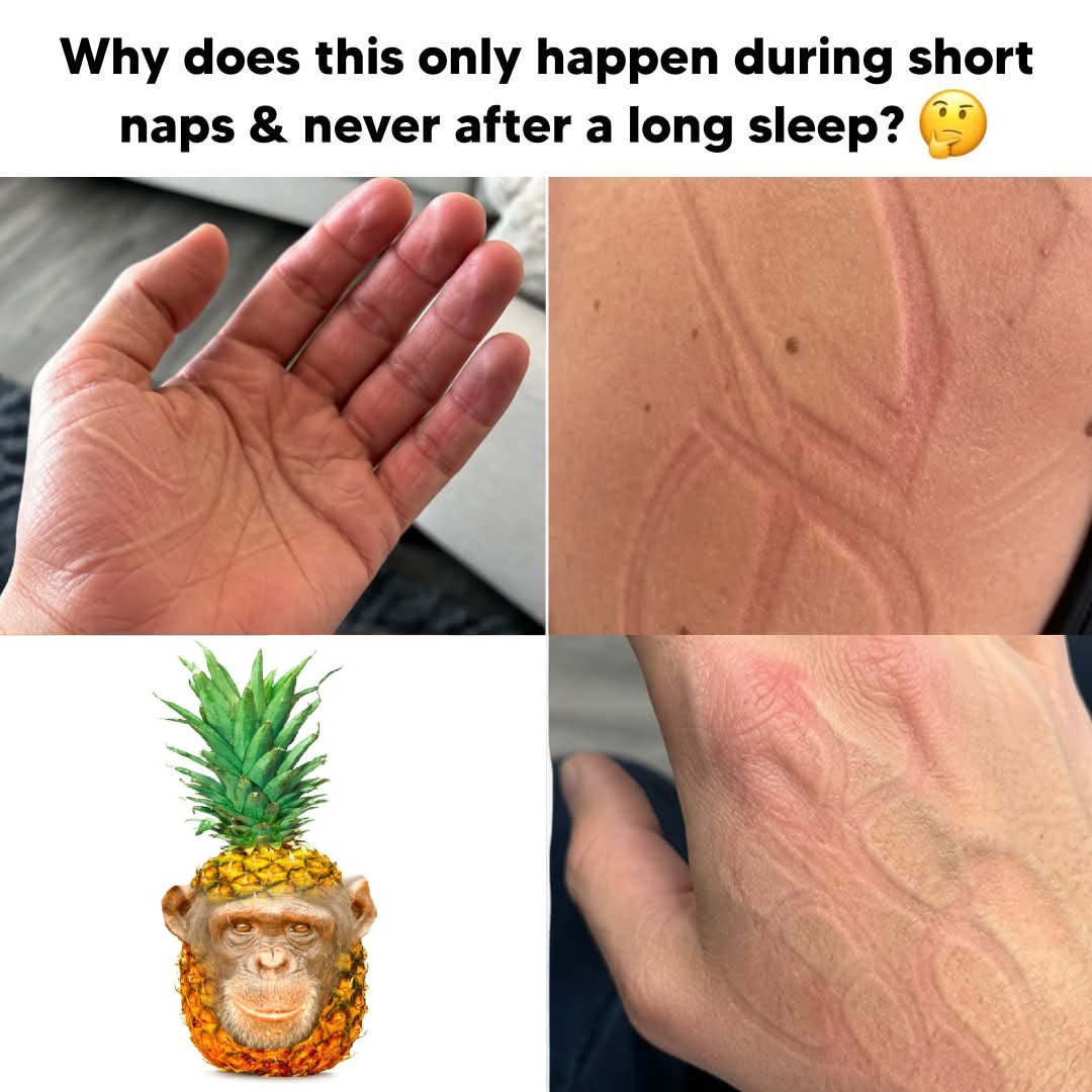 I've always wondered #pineapplechimp