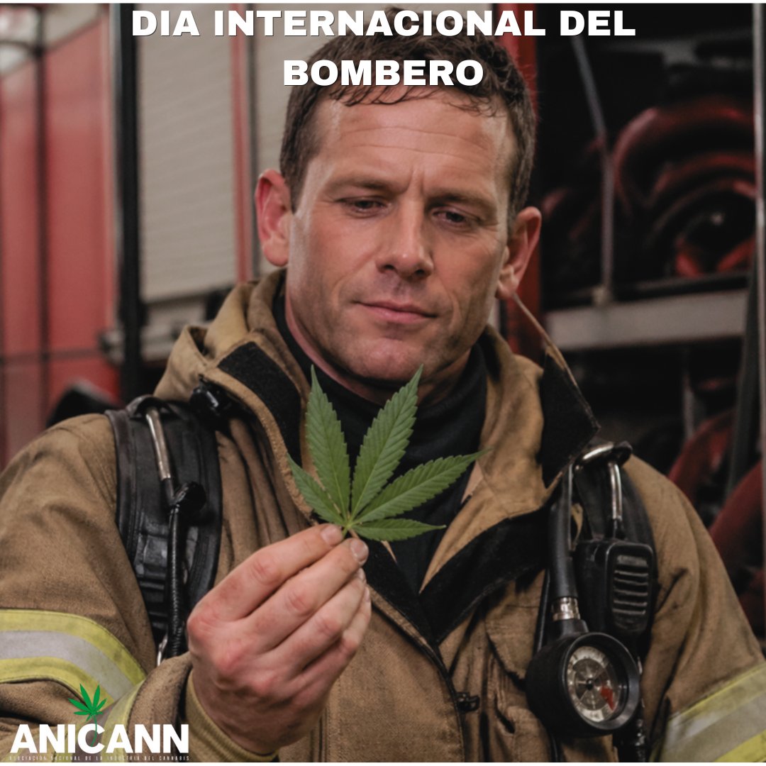 anicannmx's tweet photo. Hoy reconocemos a quienes apagan incendios y también a quienes combaten otros fuegos silenciosos: el dolor crónico, el estrés postraumático y el insomnio.
Porque algunos héroes necesitan más que agua para apagar sus batallas internas.
Suscríbete a nuestro Newsletter semanal https://t.co/NYpvTec7TV