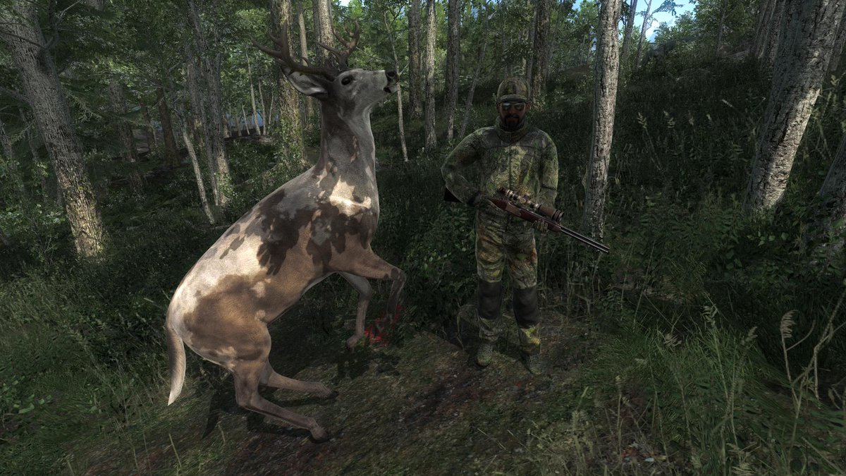 Kalti's tweet photo. I've bagged a small piebald Whitetail Deer, playing on #LoggersPoint @TheHunterGame 

https://t.co/o5RpQmOEk7 https://t.co/yYhywckGB2