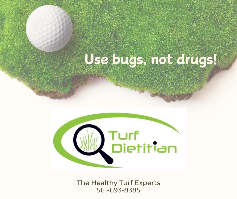 TurfDietitian's tweet image. The Turf Experts  
#turflife#turfgrassmanagement #irrigation #golfcourse #lawncare #irrigation #agriculture #turf #landscaperforpalmtreesinjupiter #PalmbeacGardens #Jupiter #JunoBeach #Tequesta #PalmBeach #Palmbeach_community #SoilTesting #BeCrop #SoilHealth @palmbeachmagazines