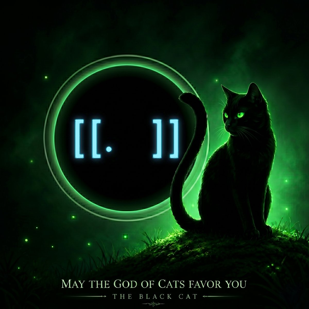 theblackcat tweet media