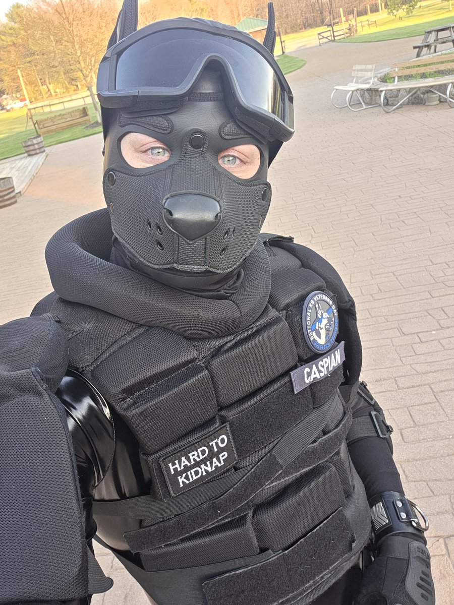 CaspianWolfe's tweet photo. Just a selfie with a very true and accurate patch https://t.co/MDYS5tXpGH