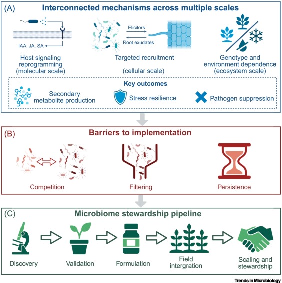 Trends in Microbiology tweet media