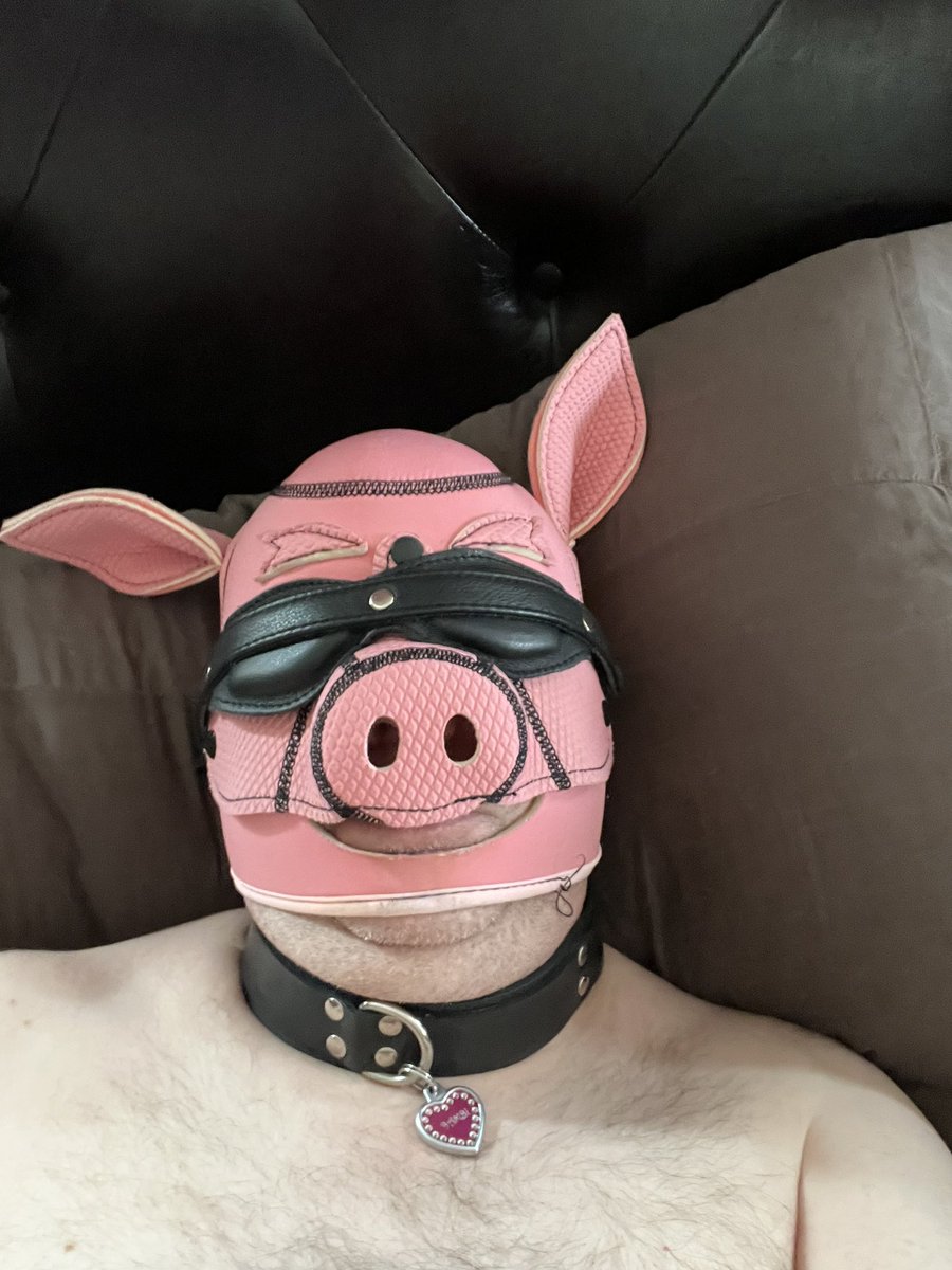 ensnaredmind's tweet photo. Some lunch break Bambi training 💄🐽 https://t.co/Neh7zfBfkR
