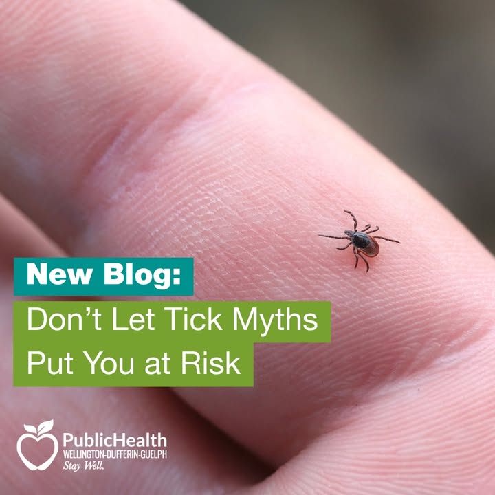 WDGPublicHealth's tweet image. Think you know #ticks? You might be surprised! From when they’re active to where they live, common myths about ticks can actually put you at risk. As tick activity increases in our region, knowing the facts matters more than ever.
👉 Read the #blog: bit.ly/4uz2bwh
