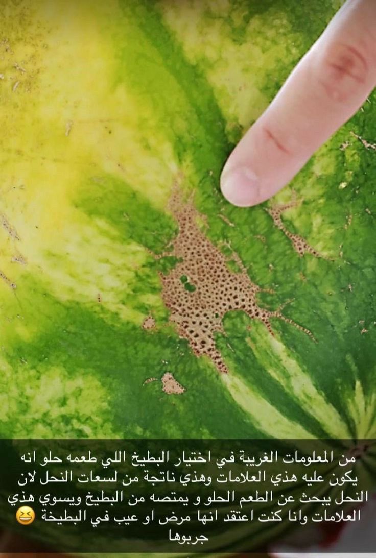 آنسه ملعقة .. tweet media