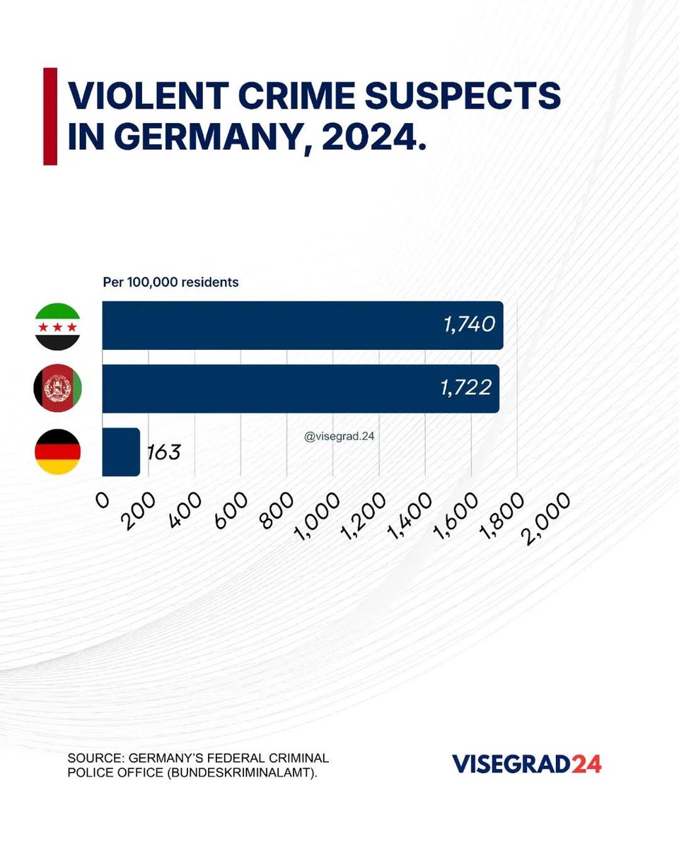 A 2024 report by Germany's Federal Criminal Police Office reveals that a Syrian or Afghan migrant was 10 times more likely to be a suspect of a violent crime compared to a German citizen.

In that year, only 163 German citizens were suspected of violent crimes per 100,000