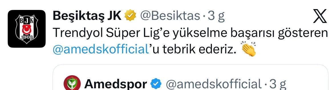 birdokuzaltıbeş tweet media