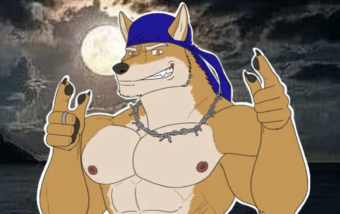Wolfplot tweet media