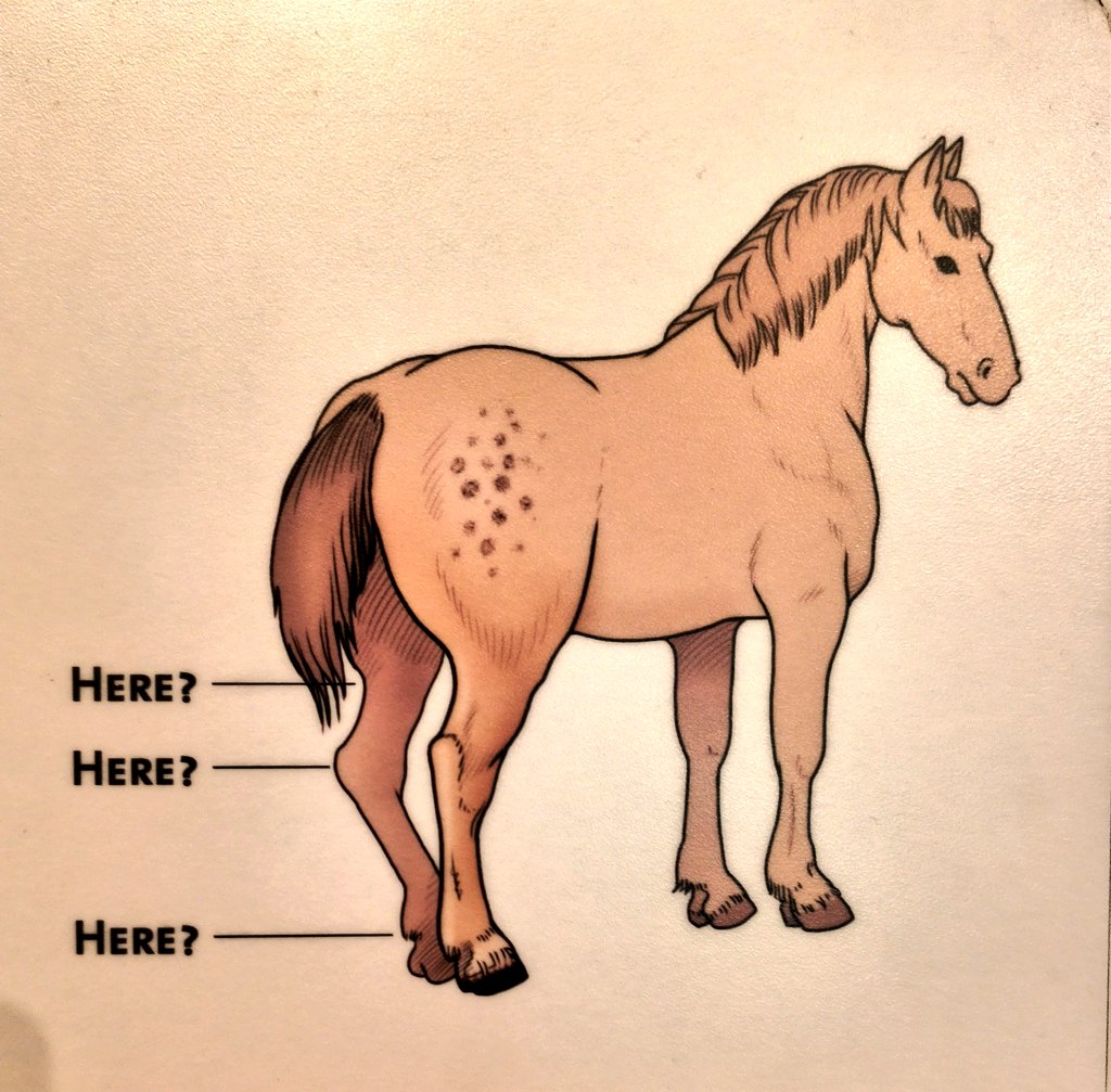 timidangel. (NEIGHCON ARC) tweet media