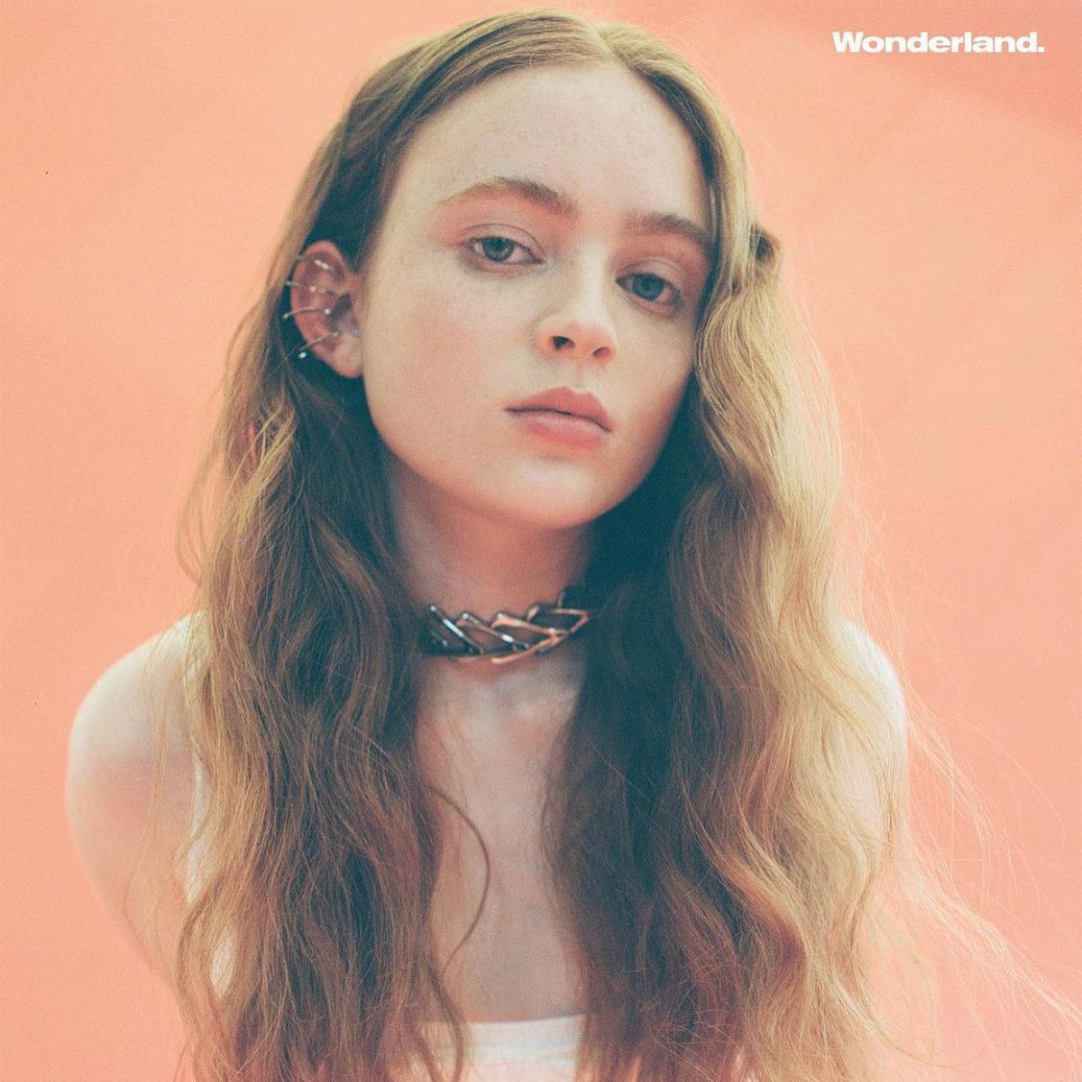 sadie sink posts tweet media
