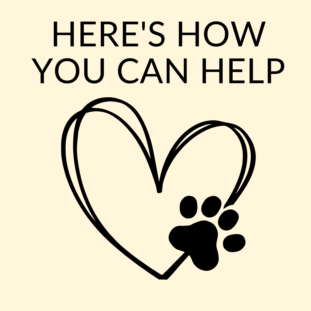 VAtes_tigers's tweet photo. One of our current students experienced a house fire last night.   Thankfully the family made it out, but their belongings perished in the fire.   We will be collecting clothing and personal items at the school.  If you would like to donate, you can venmo PTO- @temperancetigers. https://t.co/j8eJ61nwP3