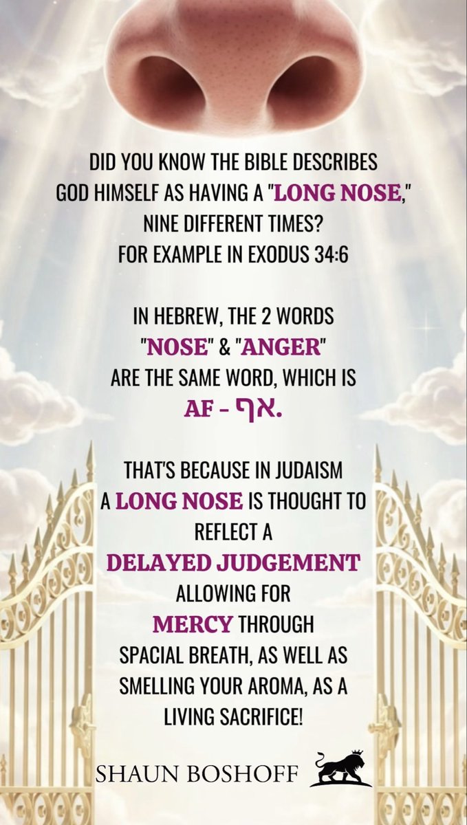 shaunboshoff's tweet photo. The revelations we get from understanding the Bible in Hebrew through the Jewish culture, we now get that God’s “long nose” (אֶרֶךְ אַפַּיִם) in Scripture points to the idea that God's judgment isn’t rushed, but that there’s space for mercy to step in before consequences unfold. https://t.co/YRrb8g3Kqs