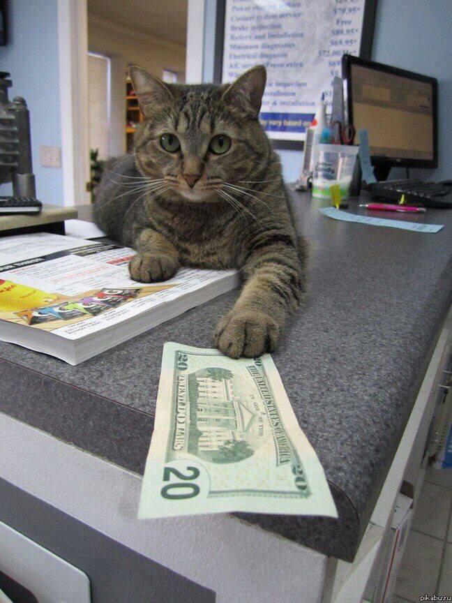 TarikFront's tweet photo. @AlexanderNetai Видаліть https://t.co/BHNCLd8jxe