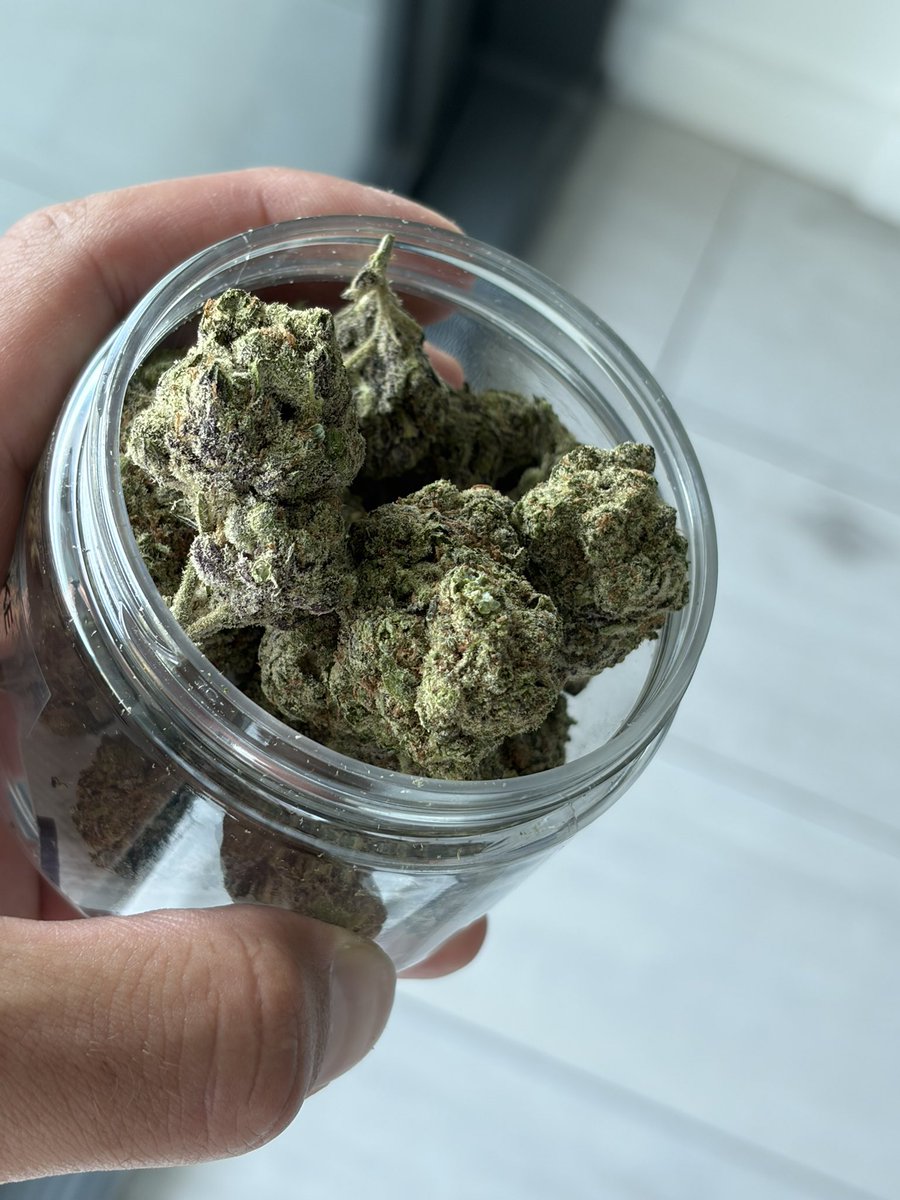 co_exotics's tweet image. About to try that Blueberry Pancake 🥞🫐 

I’ll update you guys on the smoke shortly! 

Link here ⬇️ 
coexotics.co/product/bluebe…

#cannabiscommunity #cannabisculture