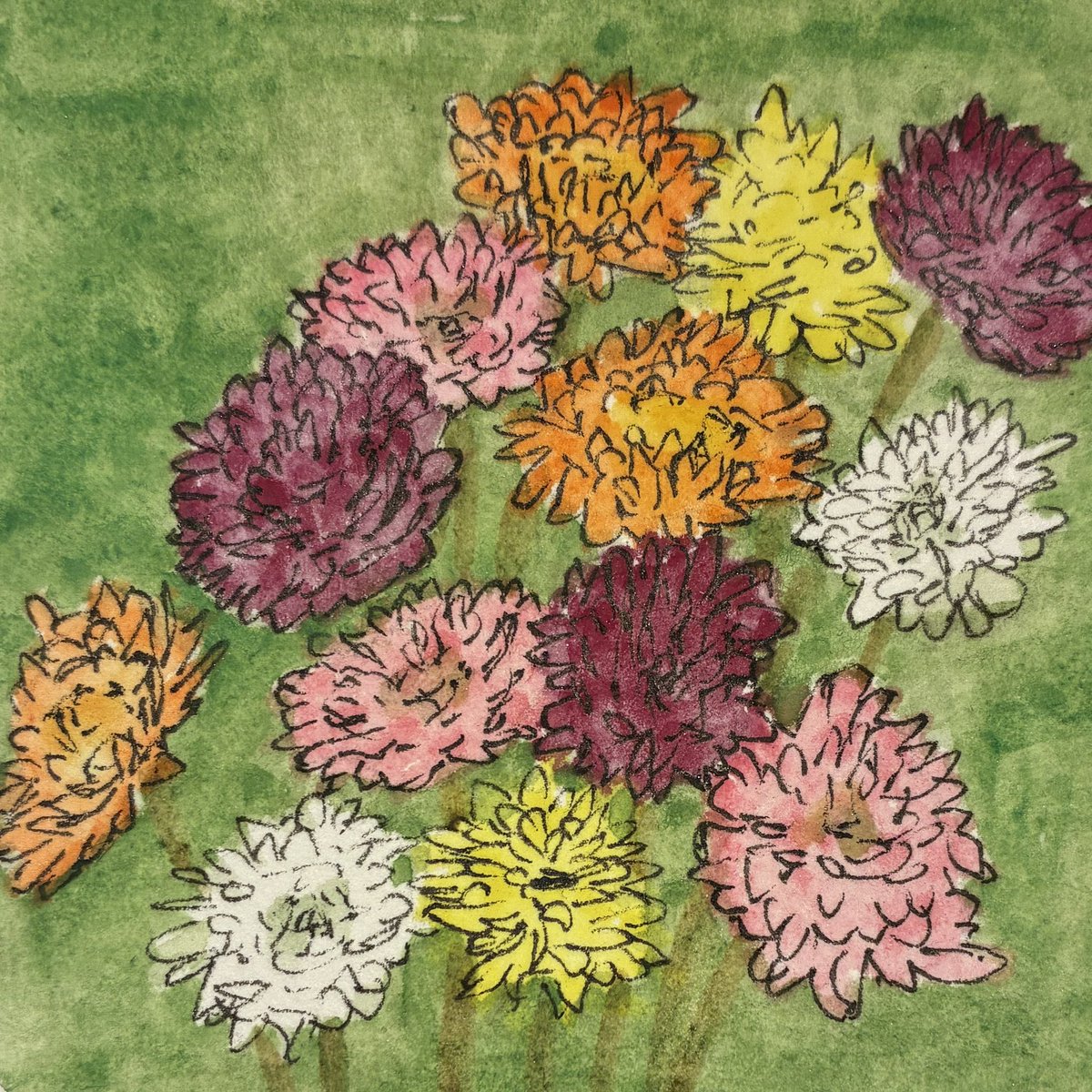 TimOHareArt's tweet image. This was supposed to be just a rough pencil outline ready to paint tomorrow morning, but it's ended up as the finished version of the 11th (November) picture in my Birth Month #Flowers series of miniature #watercolour #paintings - #Chrysanthemum