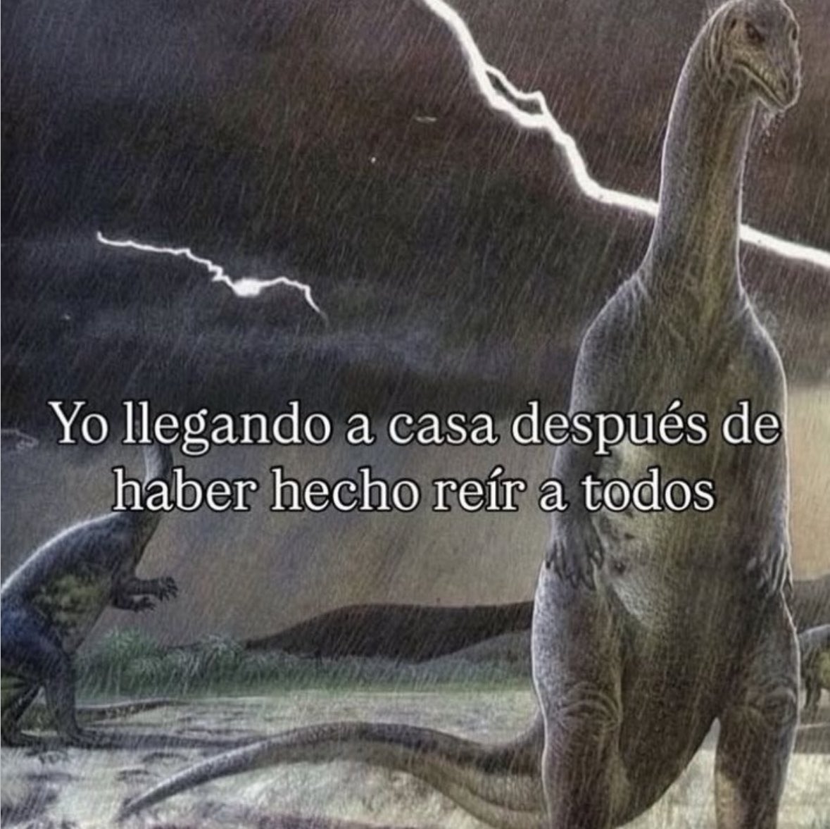 yo qué sé tweet media