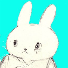 ｱﾝｺﾞﾗ のうさぎ🐇🌳 tweet media
