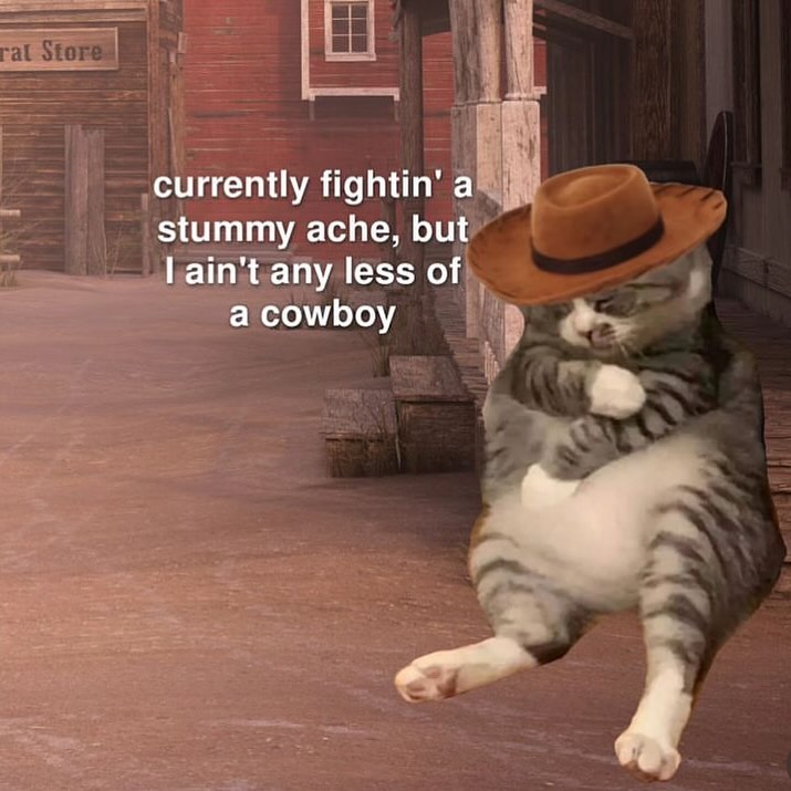 Punch Cat tweet media