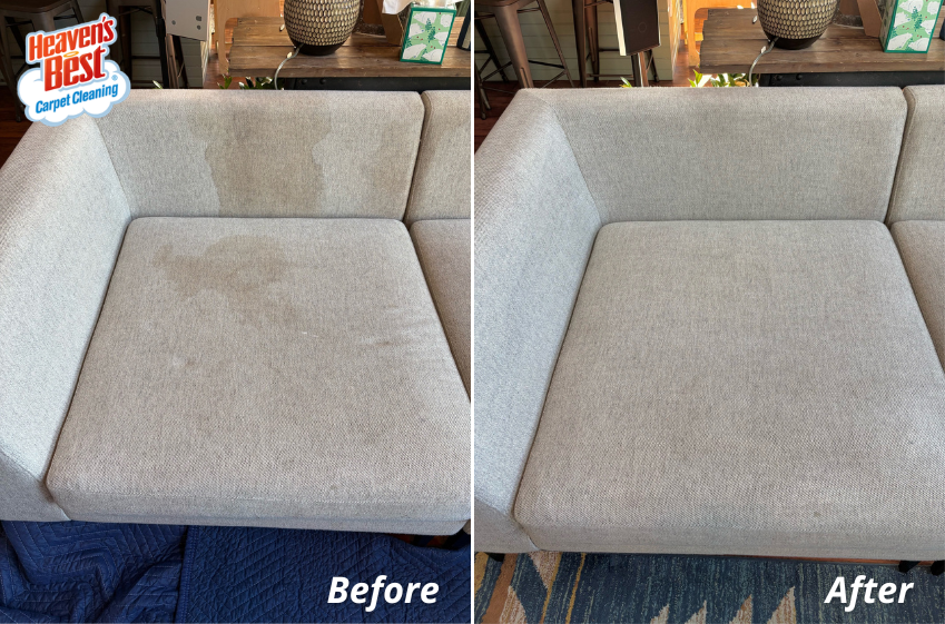 HeavenTri's tweet photo. Say goodbye to stains this spring and hello to luxurious upholstery that looks, feels, and smells like new! Call (509) 628-2378 to book your cleaning! 🌿🌸

https://t.co/qHcSC3TAmh
#carpetcleaning #upholsterycleaning #cleaningservices #homesweethome https://t.co/1TiRHTX8d4