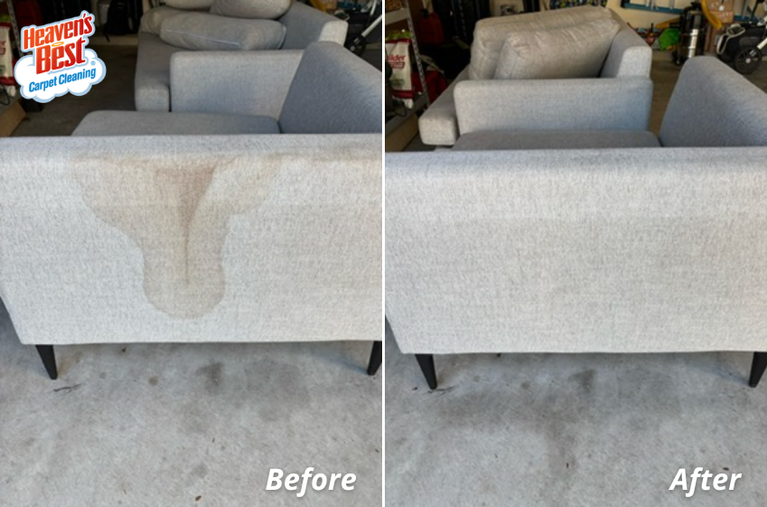 HeavenTri's tweet photo. Say goodbye to stains this spring and hello to luxurious upholstery that looks, feels, and smells like new! Call (509) 628-2378 to book your cleaning! 🌿🌸

https://t.co/qHcSC3TAmh
#carpetcleaning #upholsterycleaning #cleaningservices #homesweethome https://t.co/1TiRHTX8d4