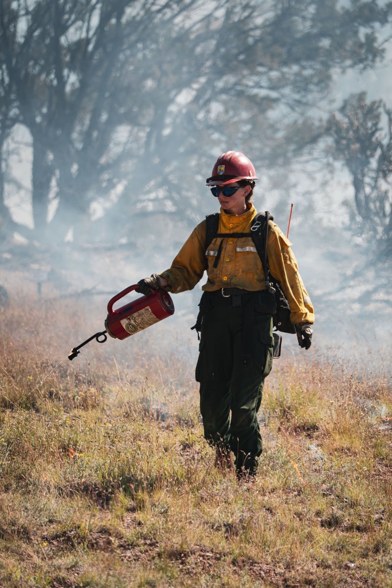 U.S. Wildland Fire Service tweet media