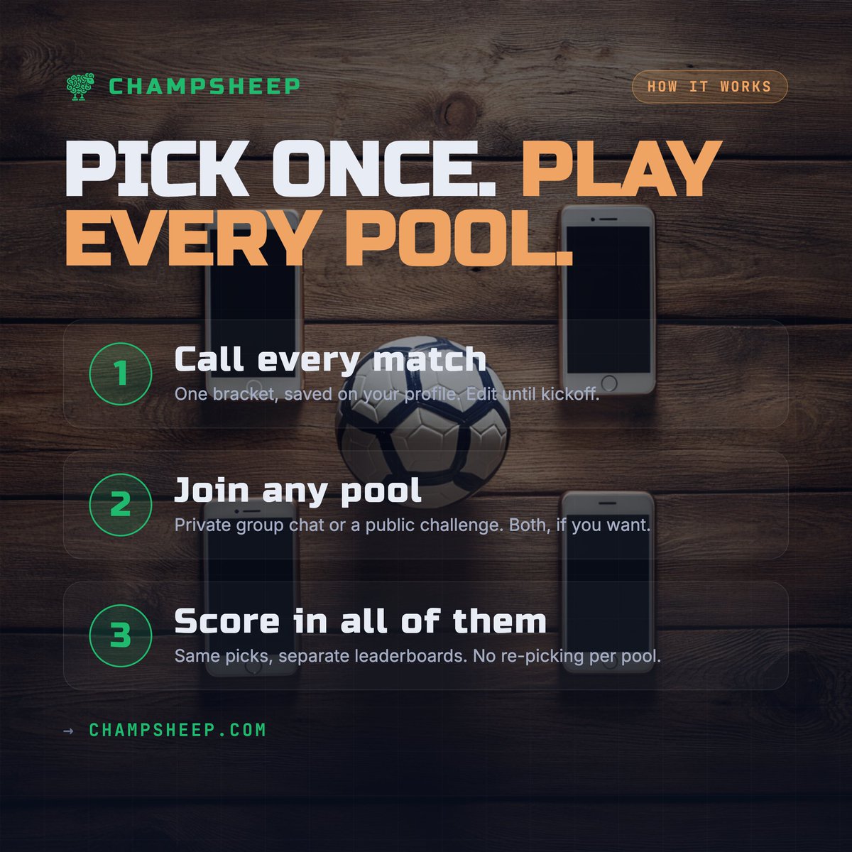 champsheep tweet media