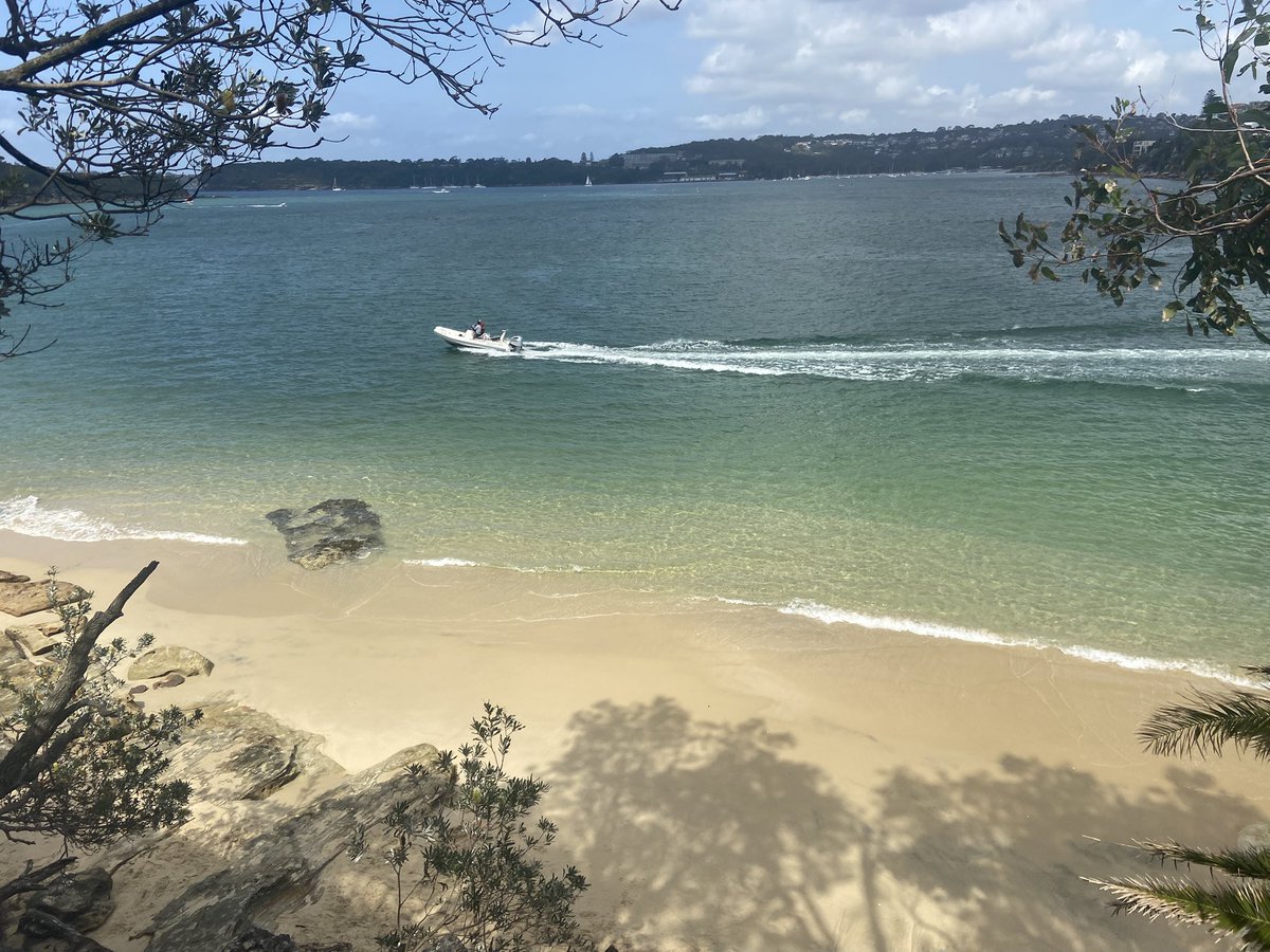 citizen_odyssey's tweet image. 🌊 #hiking by the #beach #clontarf 🚶 #ocean in #sydney with a nice view