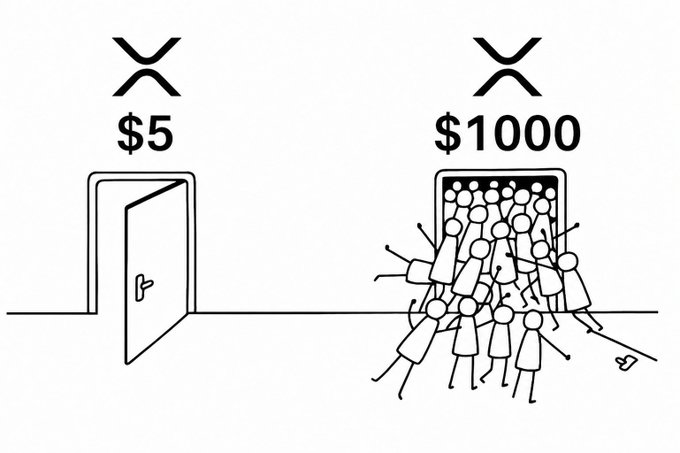 XRP Alex tweet media