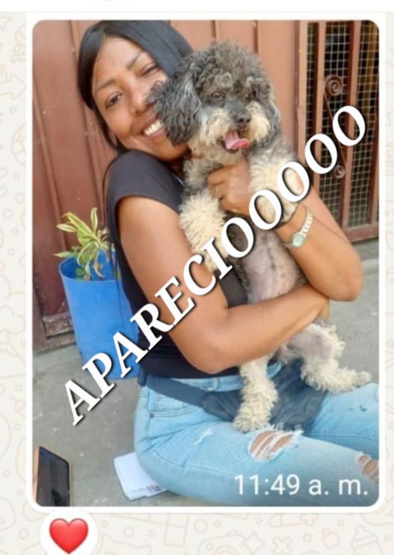 LISTO GRACIAS APARECIO ROXY  DIOS  NO SE QUEDEN CON ANIMALES AJENOS NO HAGAN ESE DAÑO