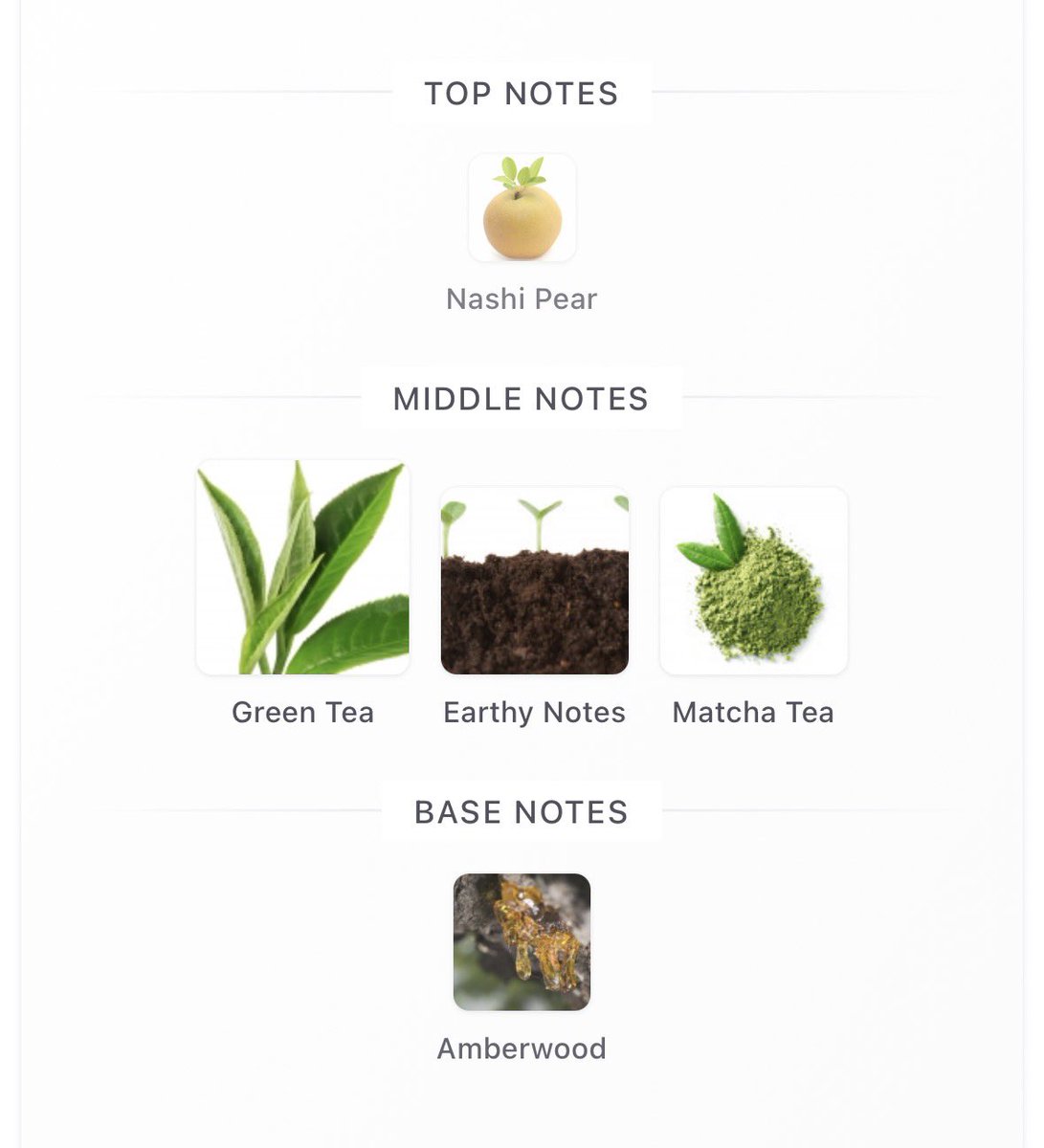 Fragrance Aesthetics tweet media