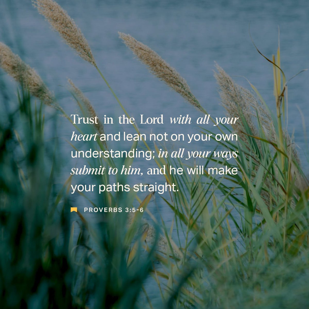 NationsDesire's tweet photo. Proverbs 3:5-6 KJV
[5] Trust in the LORD with all thine heart; And lean not unto thine own understanding. [6] In all thy ways acknowledge him, And he shall direct thy paths. https://t.co/4QgOM0V8Nf