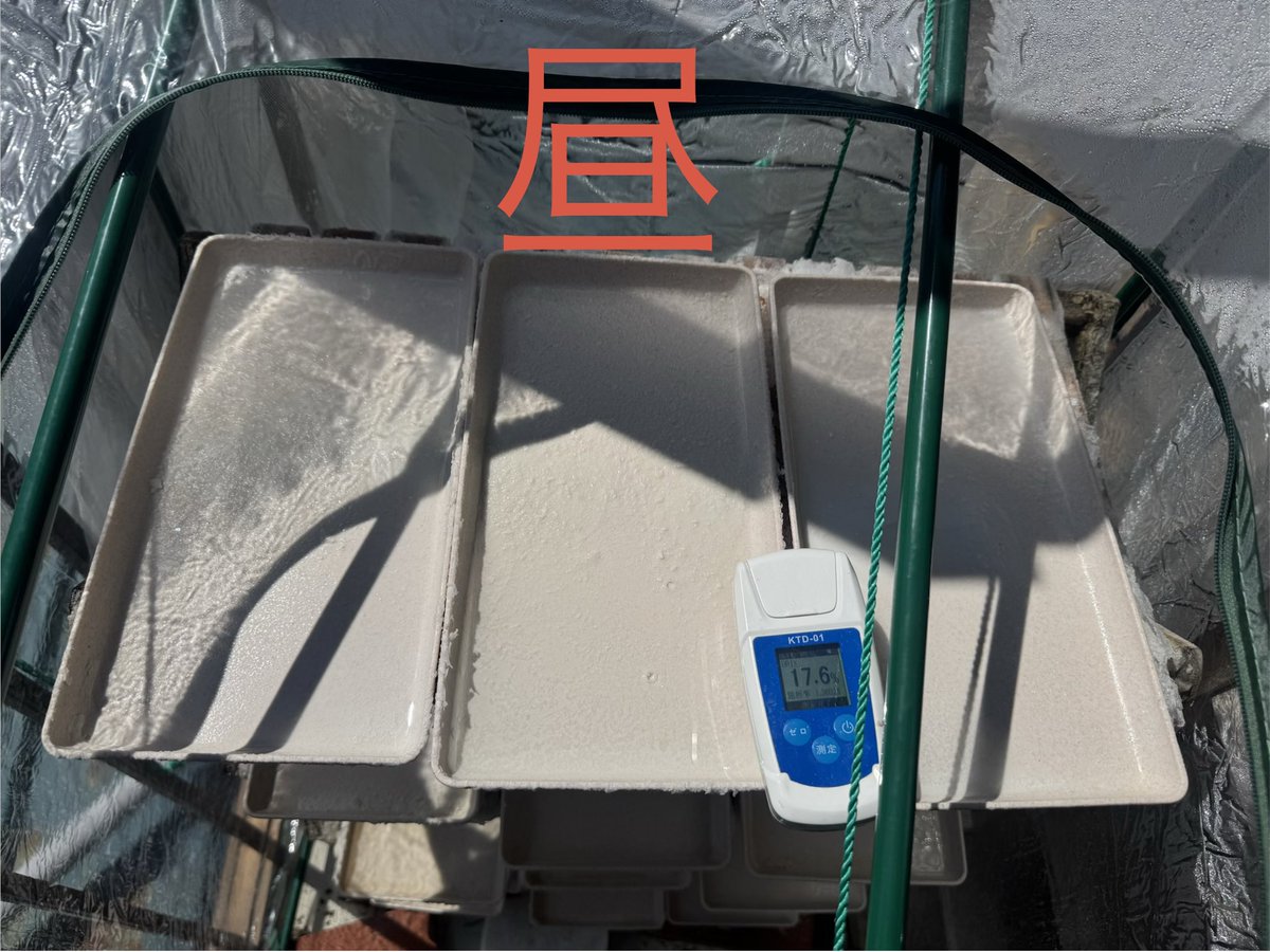ahofista's tweet photo. おザス❗️
気がついたらGW最終日、昨日は買い出しと独房製塩所の塩の世話だけで脳のトークン切れを起こしその辺で◯亡👻
しかしもう一週間休み欲しいくらいですが明日から地獄の労役にぶち込まれ、五月病ルート一直線になる事確定なのでやるか休むか自分の体力と相談しよう、そうしよう🤔 https://t.co/lyKvRZUmUw