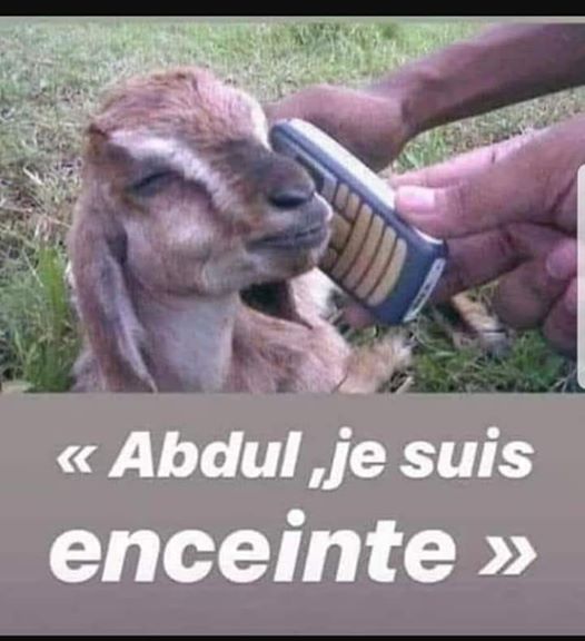 Qui desiderat pacem, praeparet bellum.🏍️ tweet media