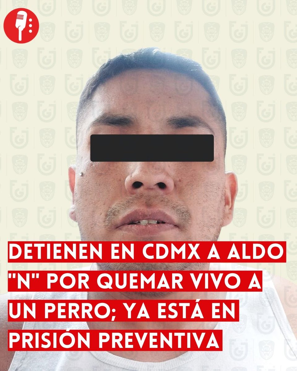 Los Reporteros MX tweet media