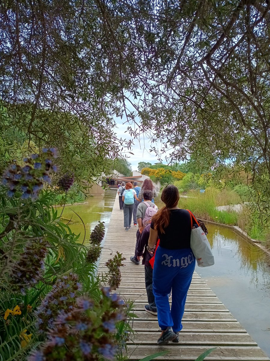 fundacioaspasim's tweet photo. Avui hem anat d'excursió al Parc Botànic. 🍀🌸🌼🌿💐🌿🌳🌲Hem fet una bona caminada i hem gaudit d'un entorn privilegat, però sobretot,  hem compartit moments de qualitat i amistat🙂😃👍😍

#Aspasim #natura #excursions #momentsdequalitat #LlarsAspasim #amistat https://t.co/sSbzA9h9ti