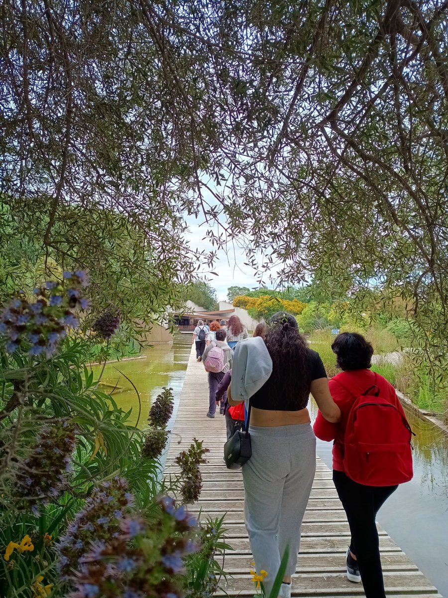 fundacioaspasim's tweet photo. Avui hem anat d'excursió al Parc Botànic. 🍀🌸🌼🌿💐🌿🌳🌲Hem fet una bona caminada i hem gaudit d'un entorn privilegat, però sobretot,  hem compartit moments de qualitat i amistat🙂😃👍😍

#Aspasim #natura #excursions #momentsdequalitat #LlarsAspasim #amistat https://t.co/sSbzA9h9ti