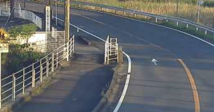 spotcameras's tweet photo. Imari, Prefektura Saga, Wyspa Kiusiu, Japonia - Widok na drogę krajową nr 204
https://t.co/JJuKx0AjyE

#japonia #japan #japón #imari https://t.co/D4D2pA3Vzg
