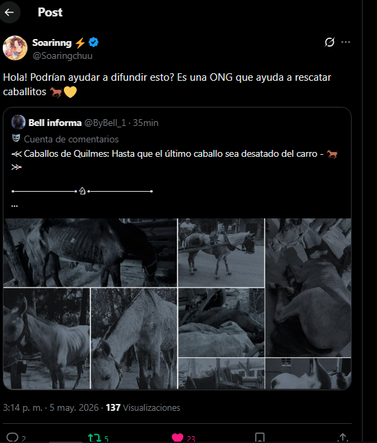 ByJack_0's tweet photo. @javi1062156 Te vamos a construir una estatua entre todos loco

Sos un grande https://t.co/8pjWTcMd8Y