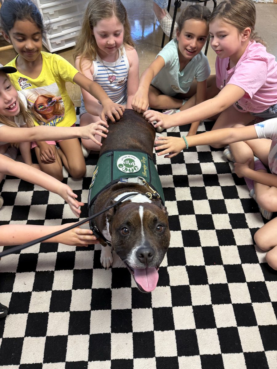 lizmachado68's tweet photo. Wellness Day 2026 - a wagging tail, Nico kisses and lots of smiles make for the best day ever! #beartavernpride #schoolbasedtherapydog #wellnessday https://t.co/Yg85OVcZfK