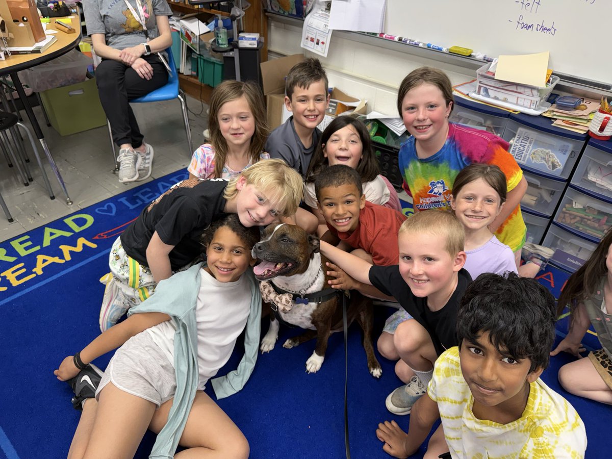 lizmachado68's tweet photo. Wellness Day 2026 - a wagging tail, Nico kisses and lots of smiles make for the best day ever! #beartavernpride #schoolbasedtherapydog #wellnessday https://t.co/Yg85OVcZfK