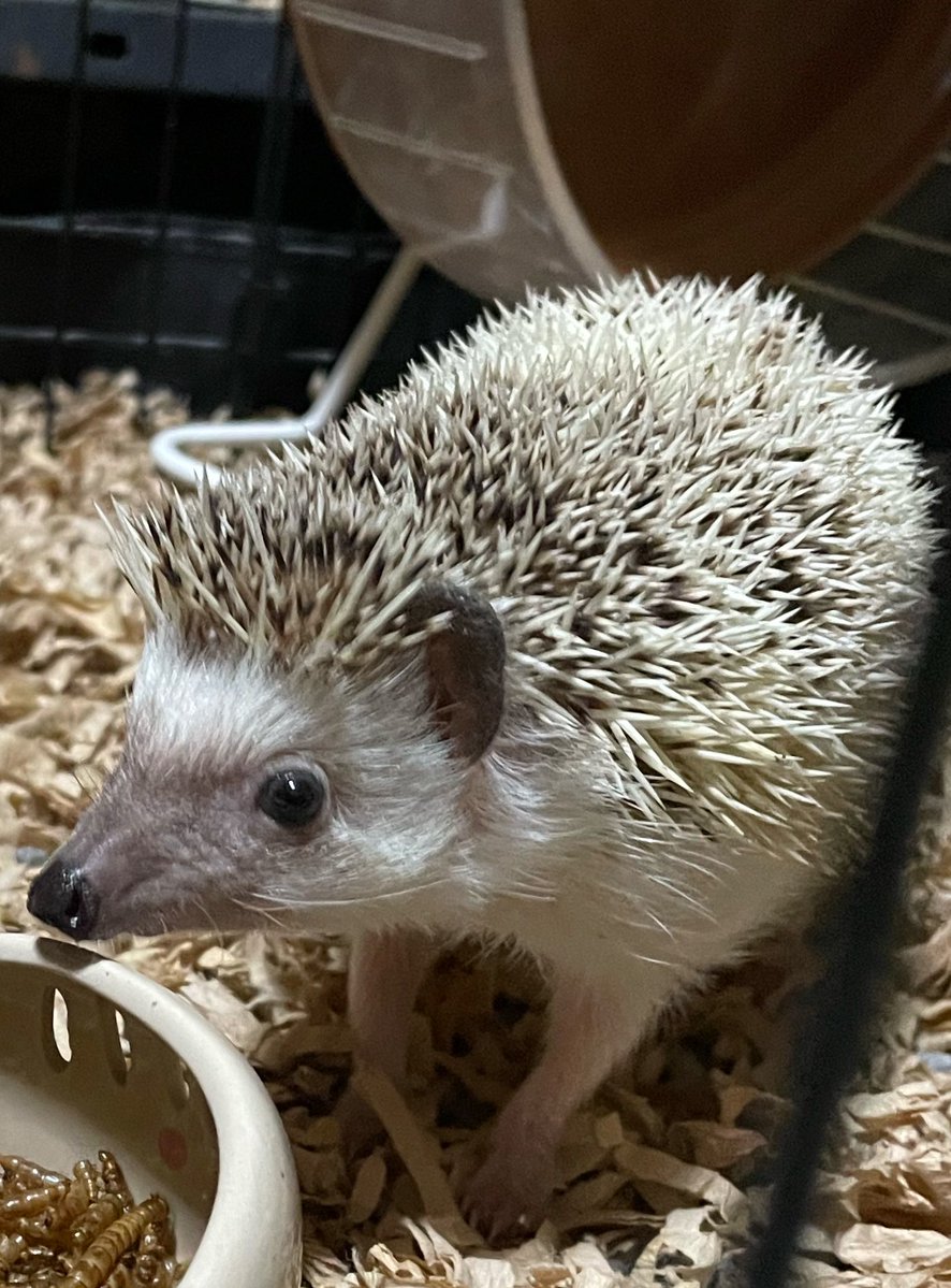 もーにん☀️😙🥪