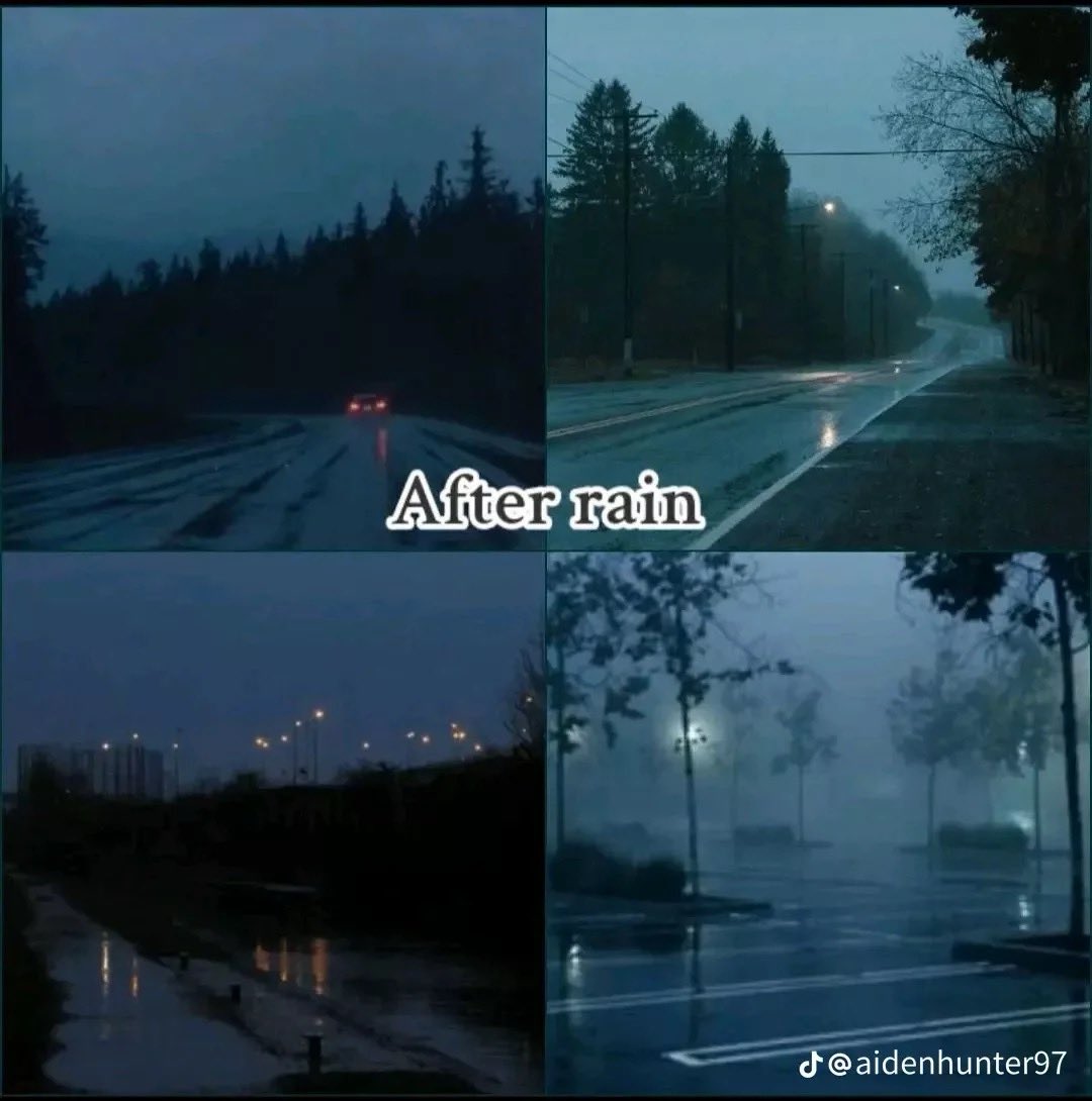 👻 𝘯𝑎𝘵𝑢𝘳𝑒 👻 (@spooky_nature) on Twitter photo 