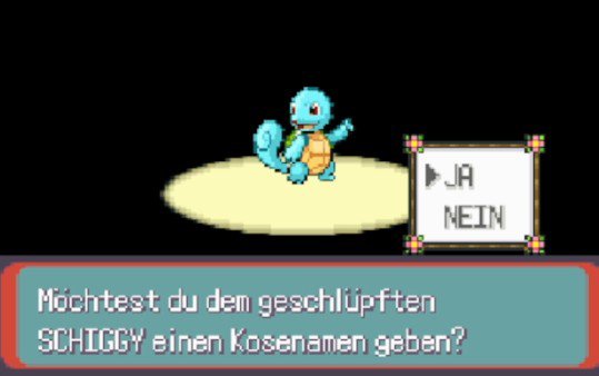 Shiny Squirtle after 5,353 eggs in Pokémon Emerald!!✨
This completes my Kanto starter trio via full odds eggs💙
Also has Refresh &amp; Mirror Coat as egg moves!

Super happy to finally complete this hunt as it was my Egg Month hunt for the past 3 years!🥚
