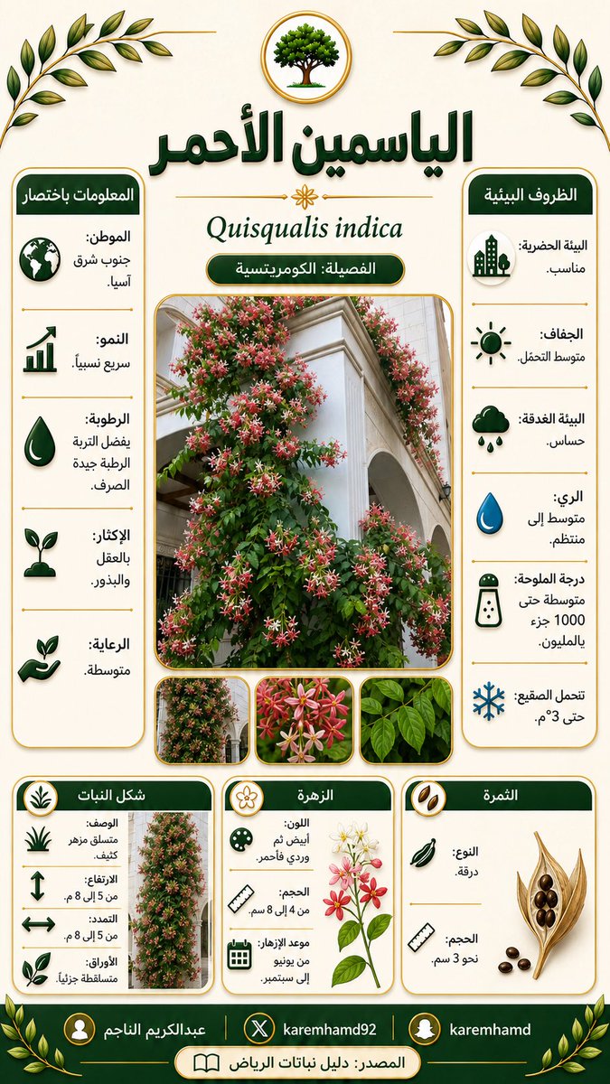 karemhamd92's tweet photo. اقتراح نأمل أن تتبناه الأمانات 🙏

إلزام المشاتل بوضع بطاقات تعريفية على الأشجار والزهور والنباتات، توضّح معلوماتها الأساسية وطرق العناية بها، مع التنبيه للنباتات السامة والموسمية، وكتابة الأسعار بشكل واضح.

وذلك لرفع وعي المستهلك، ومساعدته على اختيار النبات المناسب بالسعر المناسب🍃