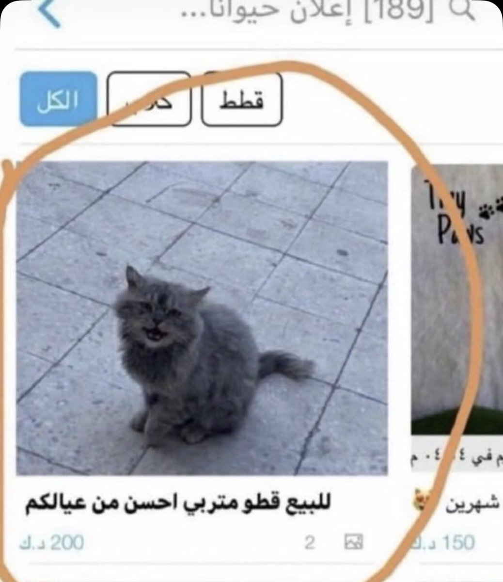 الملا بلال المزيون 🇰🇼 tweet media
